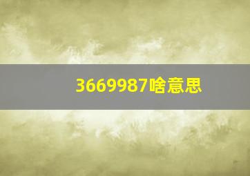 3669987啥意思