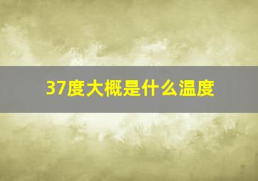 37度大概是什么温度