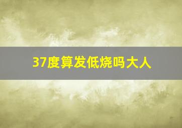 37度算发低烧吗大人