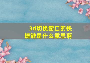 3d切换窗口的快捷键是什么意思啊