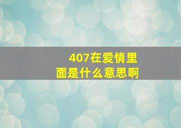 407在爱情里面是什么意思啊