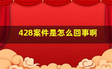 428案件是怎么回事啊