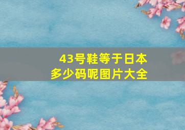 43号鞋等于日本多少码呢图片大全