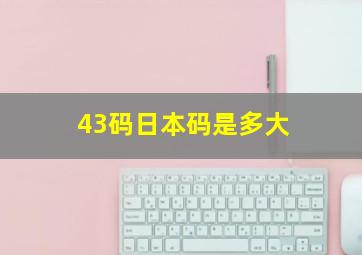 43码日本码是多大