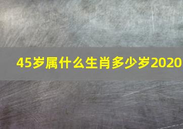 45岁属什么生肖多少岁2020