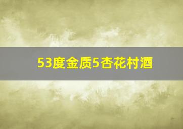 53度金质5杏花村酒