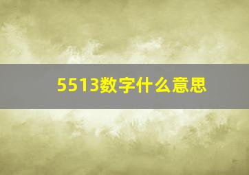 5513数字什么意思