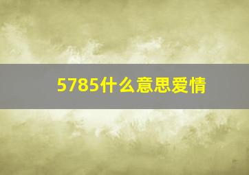 5785什么意思爱情