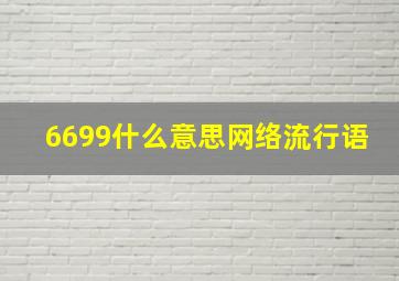 6699什么意思网络流行语