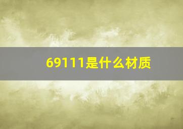 69111是什么材质