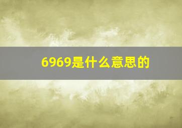 6969是什么意思的