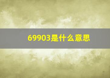 69903是什么意思