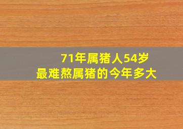 71年属猪人54岁最难熬属猪的今年多大