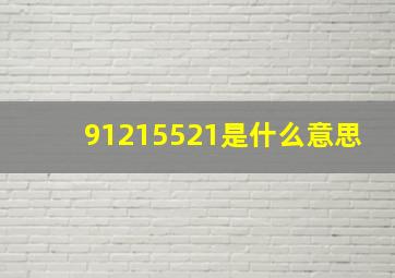 91215521是什么意思