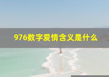 976数字爱情含义是什么