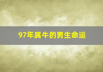 97年属牛的男生命运