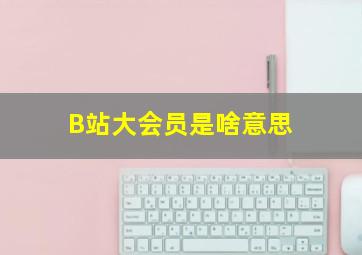 B站大会员是啥意思