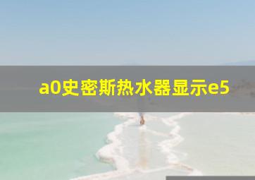 a0史密斯热水器显示e5