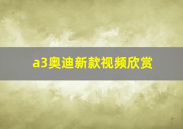 a3奥迪新款视频欣赏