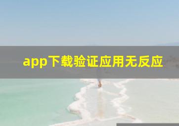 app下载验证应用无反应