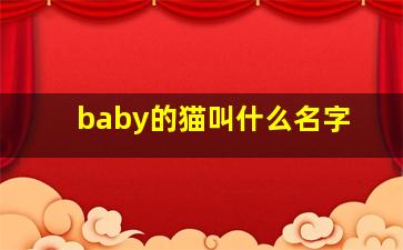 baby的猫叫什么名字