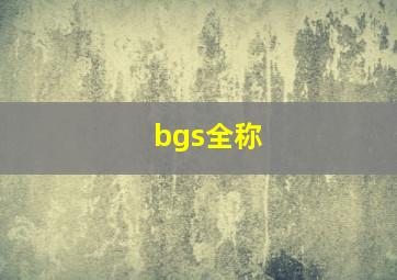 bgs全称