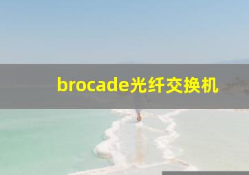 brocade光纤交换机