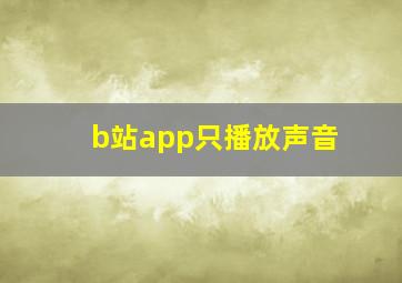 b站app只播放声音