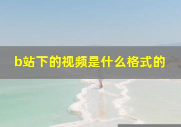 b站下的视频是什么格式的