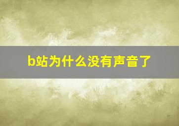 b站为什么没有声音了