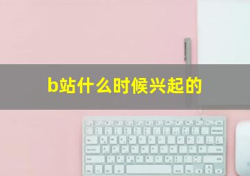 b站什么时候兴起的