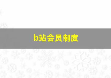 b站会员制度