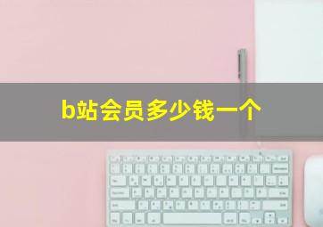 b站会员多少钱一个