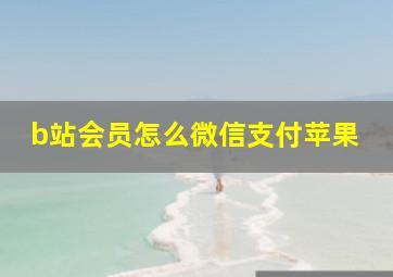 b站会员怎么微信支付苹果