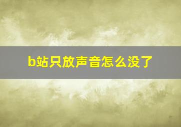 b站只放声音怎么没了