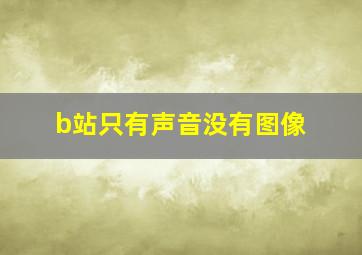 b站只有声音没有图像