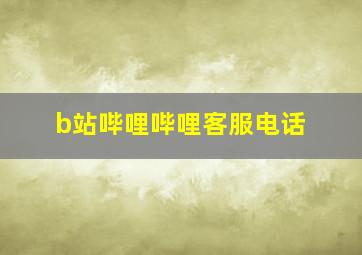 b站哔哩哔哩客服电话