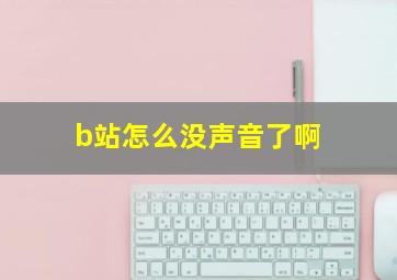 b站怎么没声音了啊