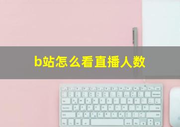 b站怎么看直播人数