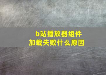 b站播放器组件加载失败什么原因