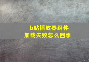 b站播放器组件加载失败怎么回事