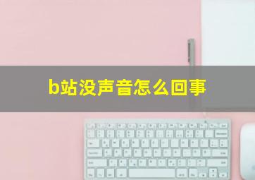 b站没声音怎么回事