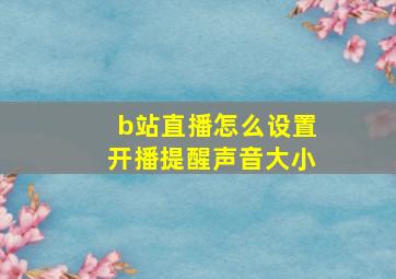 b站直播怎么设置开播提醒声音大小