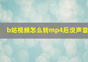 b站视频怎么转mp4后没声音