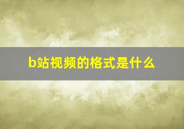 b站视频的格式是什么