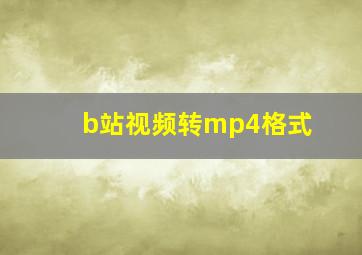 b站视频转mp4格式