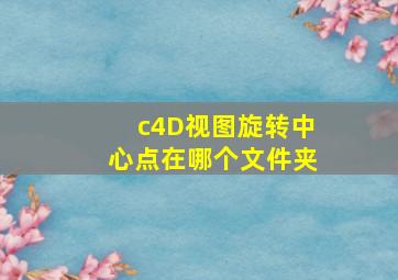 c4D视图旋转中心点在哪个文件夹