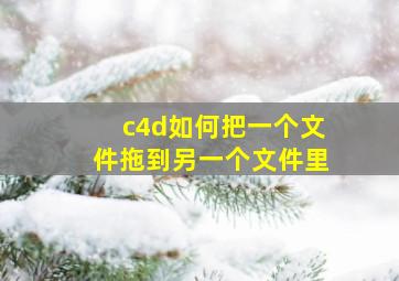 c4d如何把一个文件拖到另一个文件里