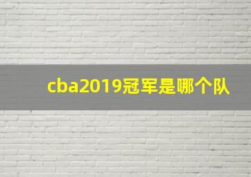 cba2019冠军是哪个队