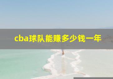 cba球队能赚多少钱一年